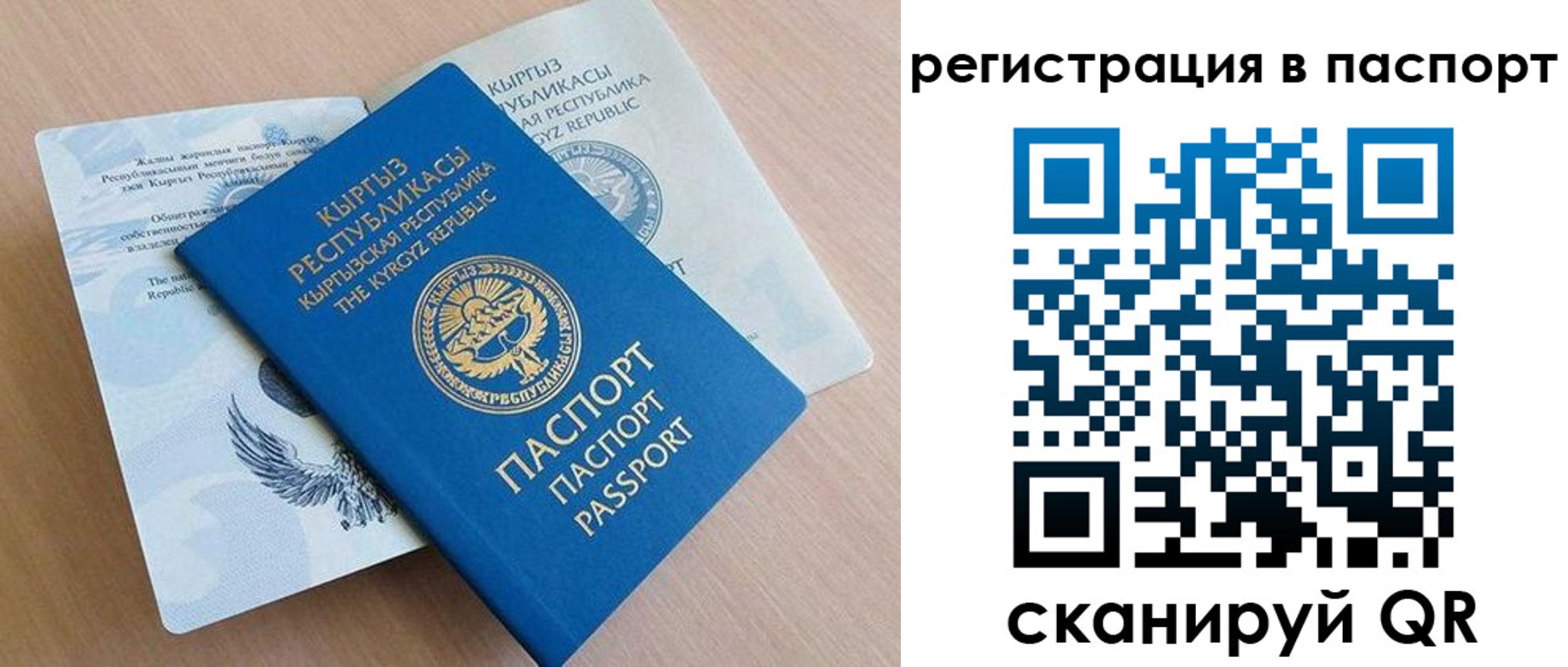 прописка законно в Шебекино